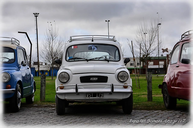DSC_0011 DSC_0011