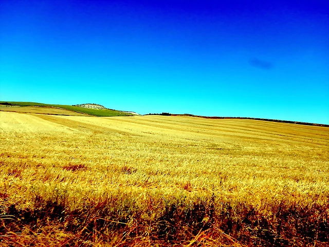 DSCN6256 DSCN6256