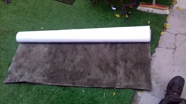 20191110_121814 20191110_121814