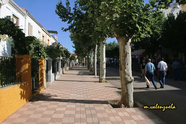 02, por la avenida, marca