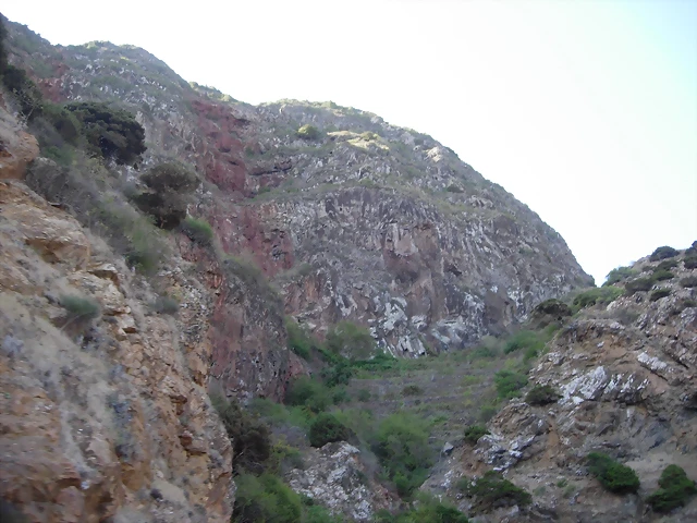 DSCN7319 DSCN7319