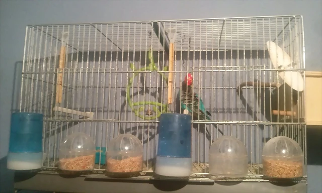 20170409_201108 20170409_201108