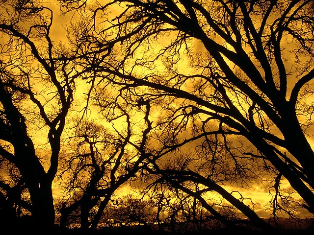 Devil\'s Sky, Mount Diablo, California Devil\'s Sky, Mount Diablo, California