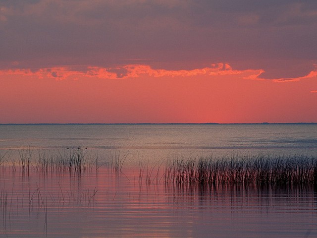 Dreamscape, Florida Dreamscape, Florida
