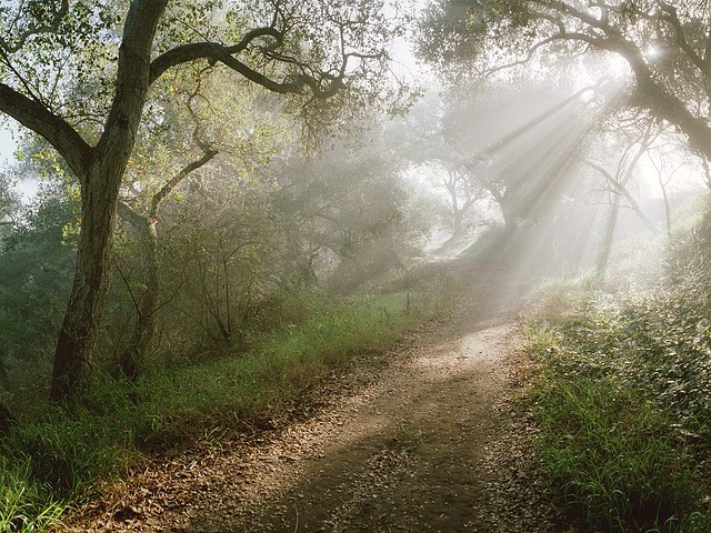 Douglas Family Preserve, Santa Barbara, California Douglas Family Preserve, Santa Barbara, California