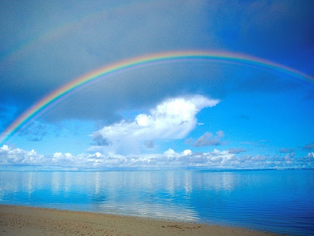 Dreamscape Dreamscape