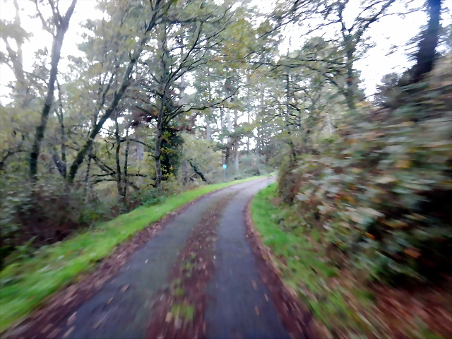 DSCN1797 DSCN1797