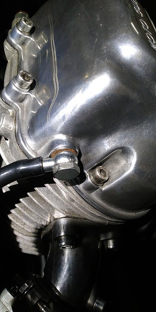 IMG_20210316_125943_618 IMG_20210316_125943_618