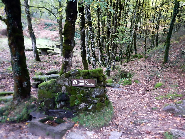 DSCN1867 DSCN1867