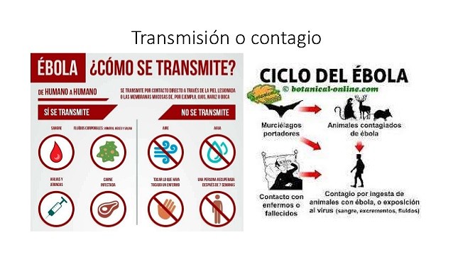 Transmisi?n-ebola-III