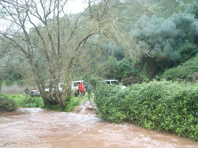 Ya arriba del torrente