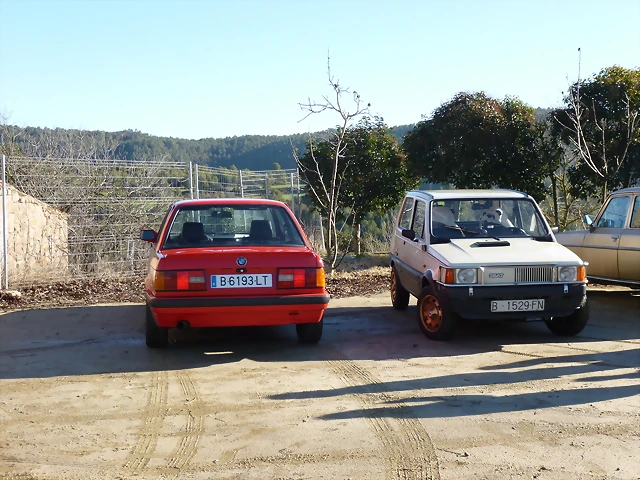 P1000265 P1000265