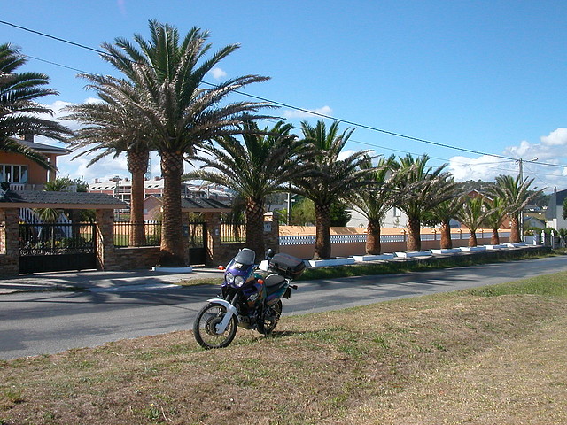 DSCN3541 DSCN3541
