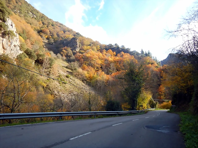 DSCN9704 DSCN9704