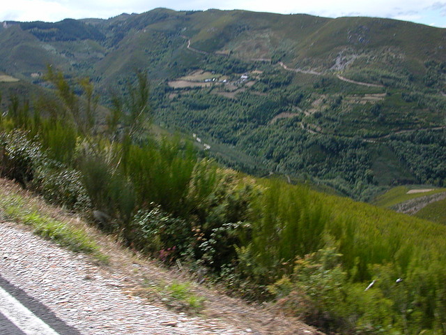 DSCN3198 DSCN3198