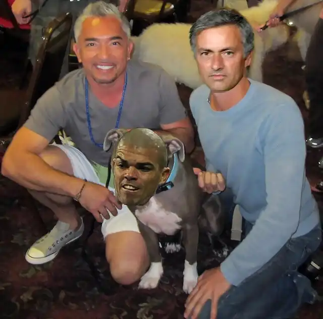 Mou Pepe y el ancantadoir de perros