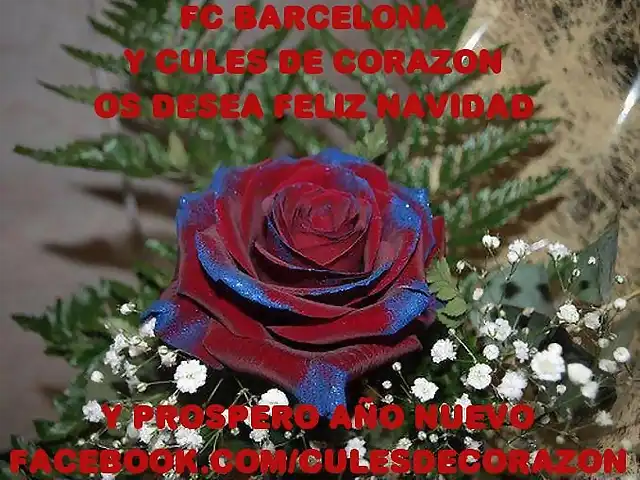 Navidad Cule