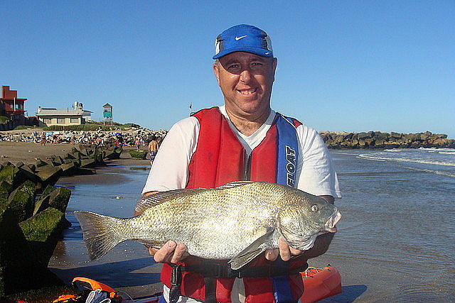 Marchi febrero 2012 oso