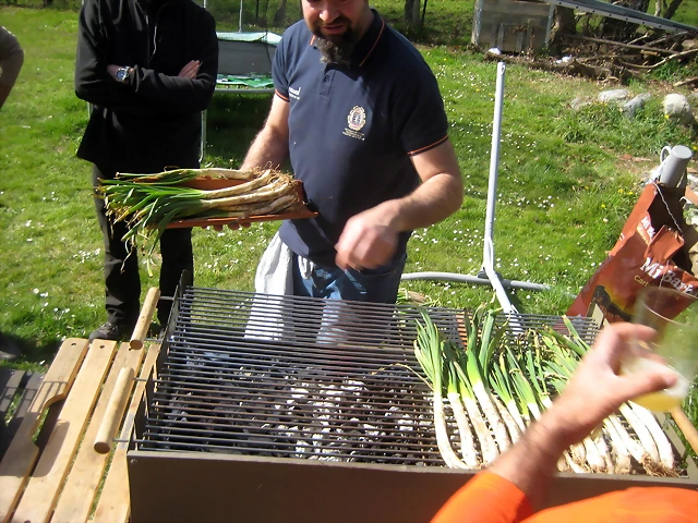 IMG_2231 IMG_2231