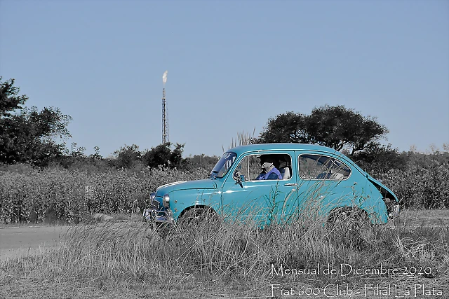 DSC_5353-2 DSC_5353-2