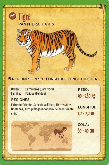 tigre