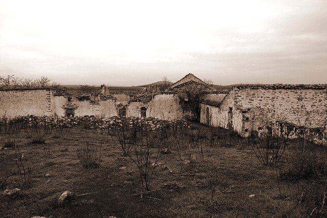 OLVERA SEPIA 011B