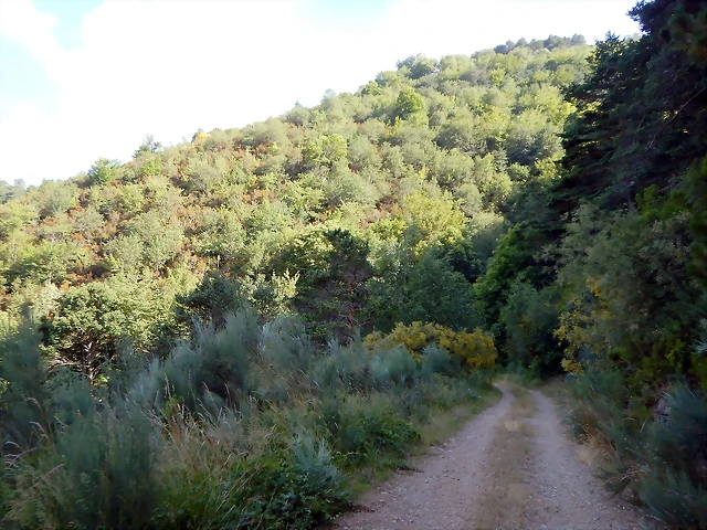 DSCN9222