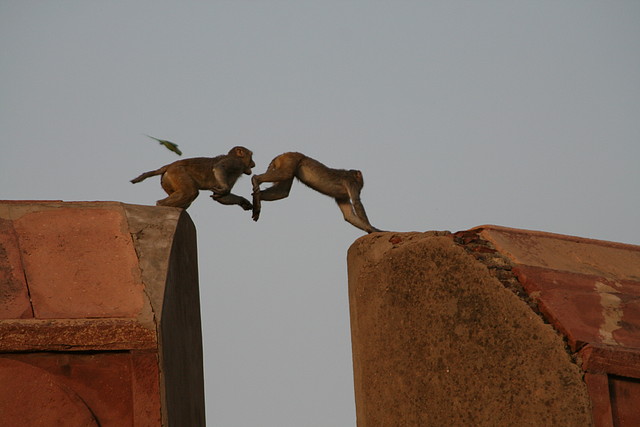 IMG_2576 IMG_2576
