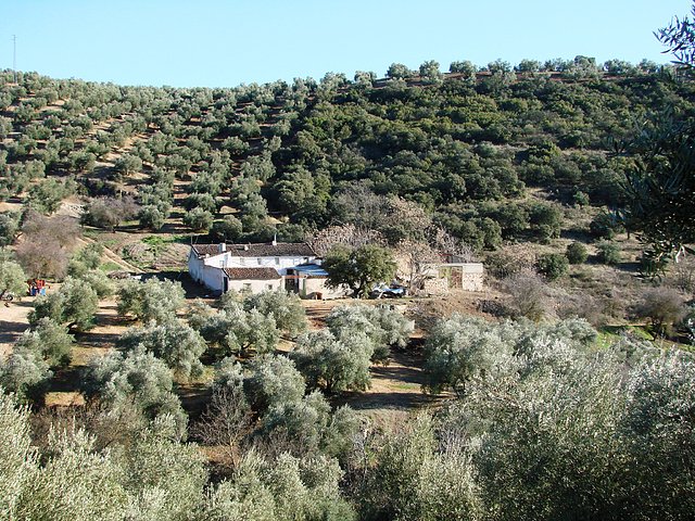 cortijo del turco