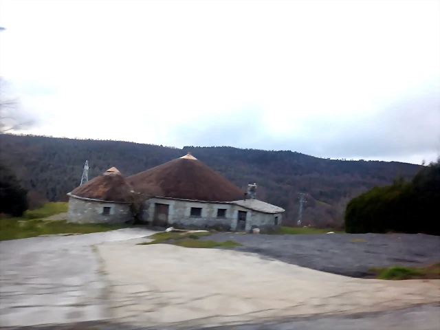 DSCN2435 DSCN2435