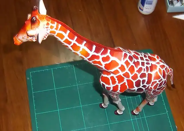 Girafa (17)