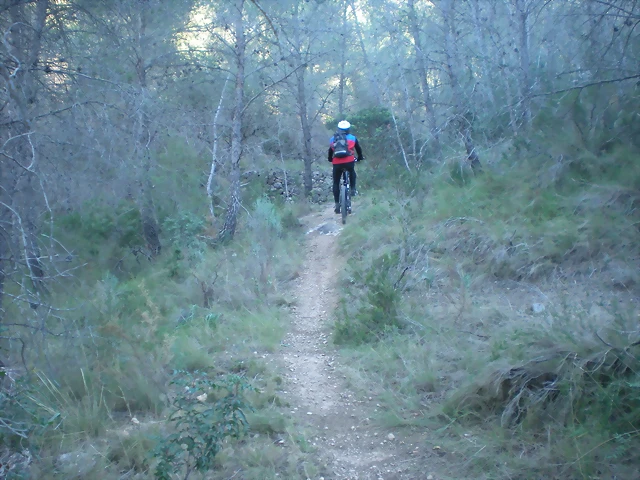 mtb olocau 006 mtb olocau 006
