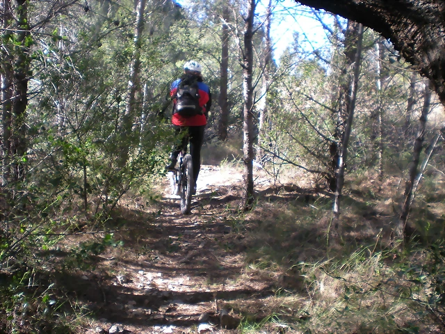 mtb olocau 018 mtb olocau 018