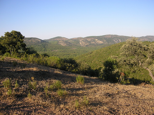 VILLAMALO VERANO 2004 (1)