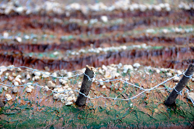 DSC_0615 DSC_0615