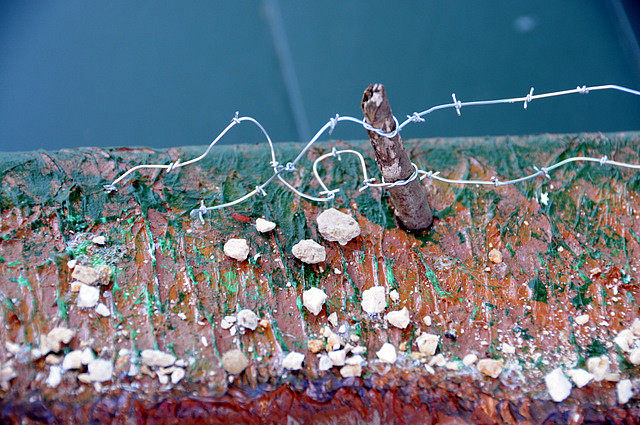DSC_0622 DSC_0622