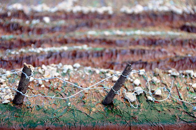 DSC_0616 DSC_0616