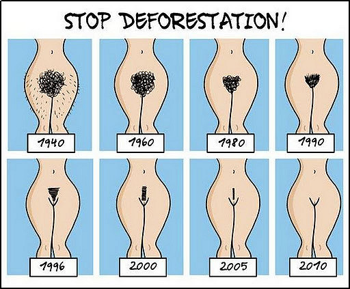 stop_deforestation