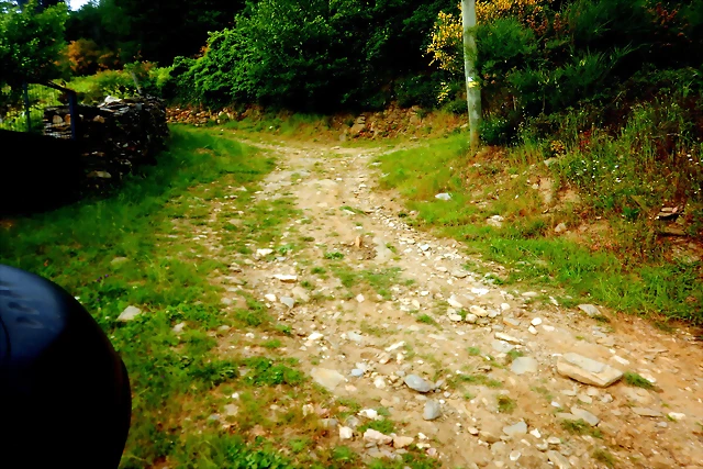 DSCN5243 DSCN5243