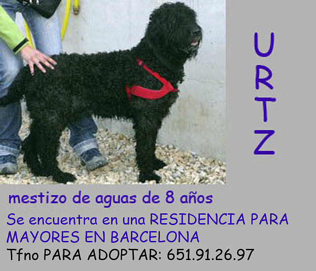 URTZ Barcelona