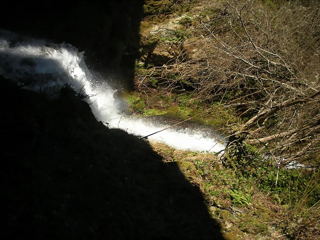 DSCN2988 DSCN2988