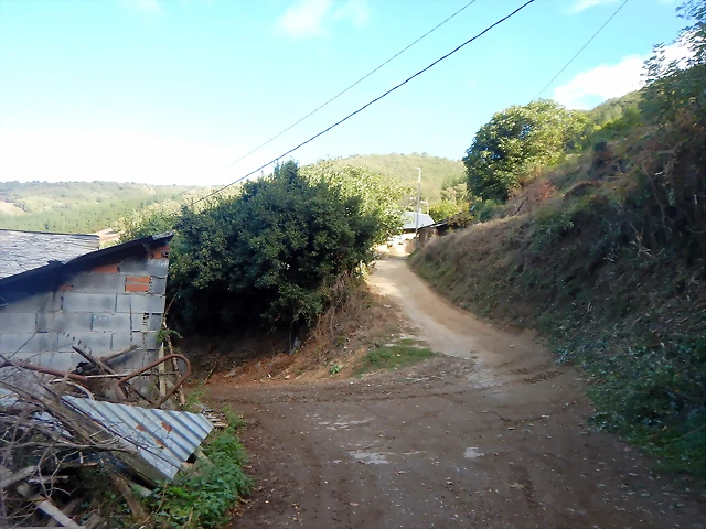 DSCN9186 DSCN9186