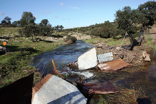 los araruces 2a