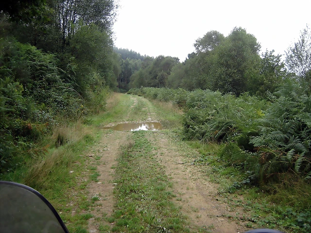 IMG_0229 IMG_0229