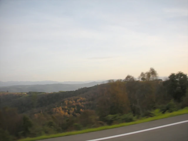 DSCN9887 DSCN9887