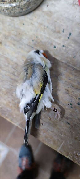 IMG_20230126_183659