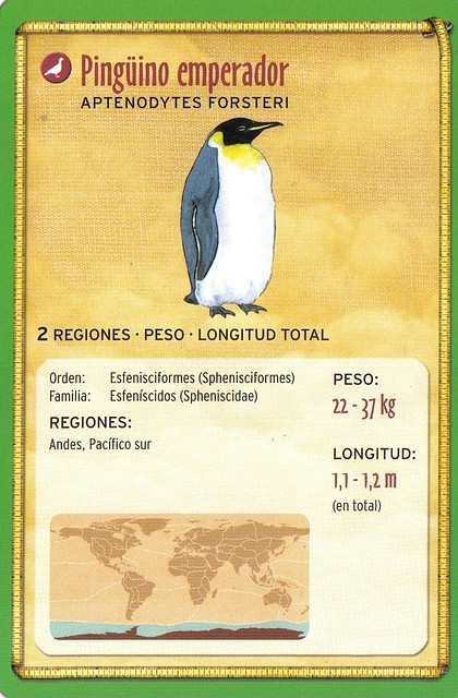 pinguino