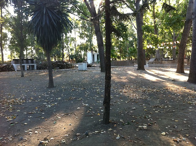 IMG_2764 IMG_2764