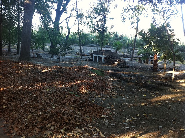 IMG_2767 IMG_2767