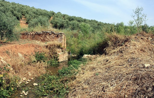 puente sobre el arroyo